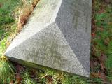 image of grave number 758295
